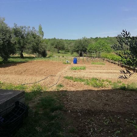 Apartmani Sladic Skradin Exteriér fotografie