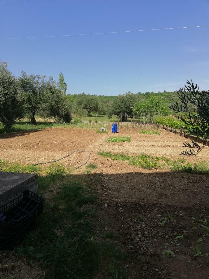 Apartmani Sladic Skradin Exteriér fotografie